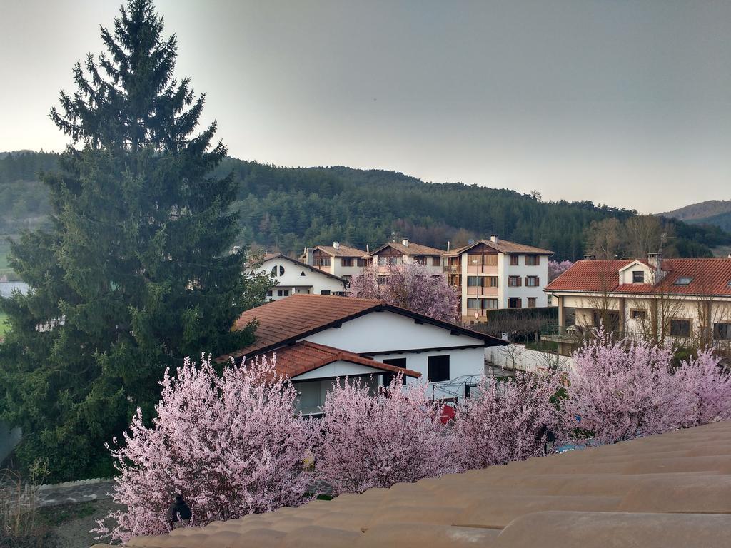 Casa Tau Pension Larrasoana Buitenkant foto