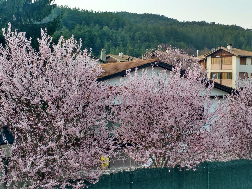 Casa Tau Pension Larrasoana Buitenkant foto