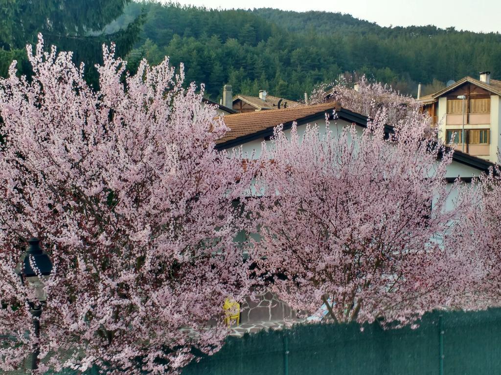 Casa Tau Pension Larrasoana Buitenkant foto